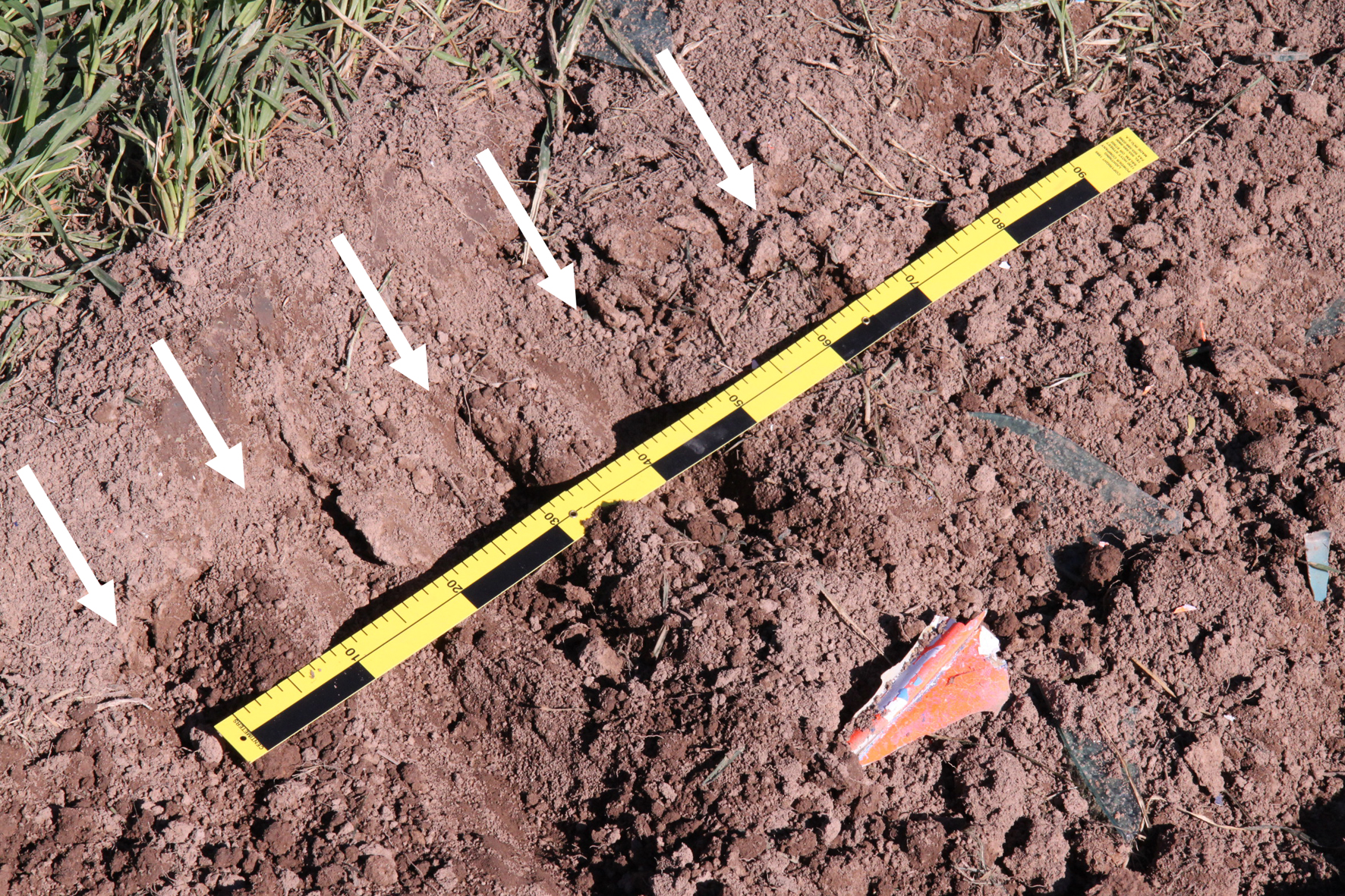Figure 5: Propeller slash marks (arrowed)